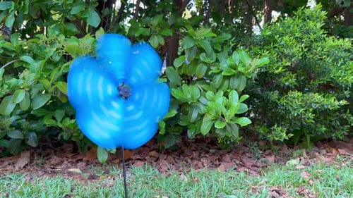 Pinwheel Flower Spinning in a Garden