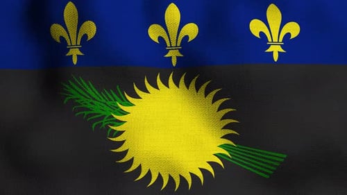 Guadeloupe Flag Realistic Waving Animation