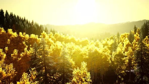 Coucher de soleil radieux dans les montagnes