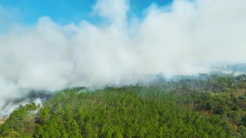 Aerial View of White Smoke From Forest Fire Rising Up Polluting Atmosphere Natural Disaster Concept