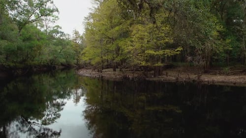 Quiet peaceful serene slowly running river with sky and tree reflections. Withlacoochee River