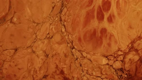 Diffusion de peinture à encre colorée abstraite 88