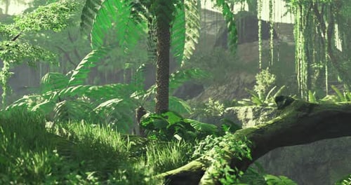 Lush Green Jungle Forest Realistic Nature Animation