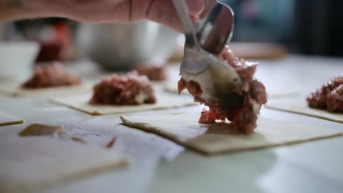 Closeup Chef Hand Cooking Meat Snack Food at Modern Home Cuisine Adding Meat