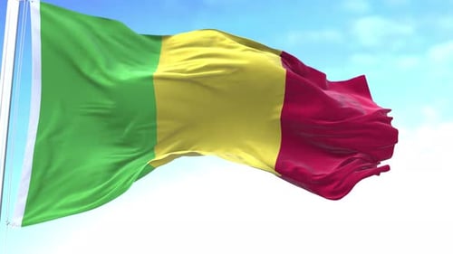 Waving Vertical Tricolor Flag Animation in Realistic Style