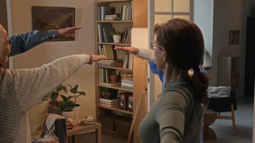 Healthcare Worker Exercising with Senior Couple in Home