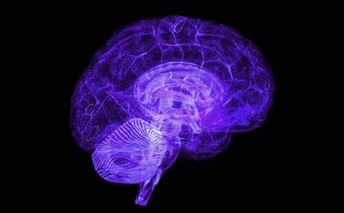 Holographic AI Brain - Futuristic 4K Concept Animation