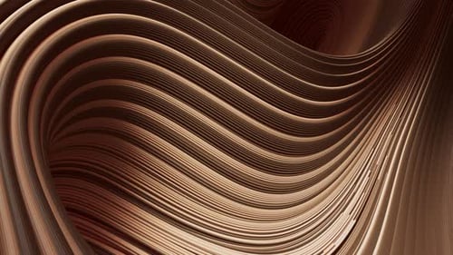 Une animation 3D de lignes bicolores formant un ornement qui remplit l'écran.