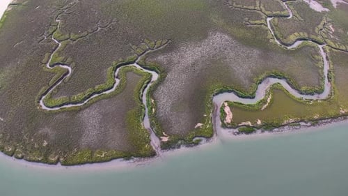 Drone footage of winding tidal creeks cutting through a lush salt marsh along the South Carolina