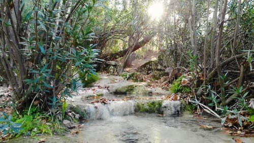 running water in tropical forest