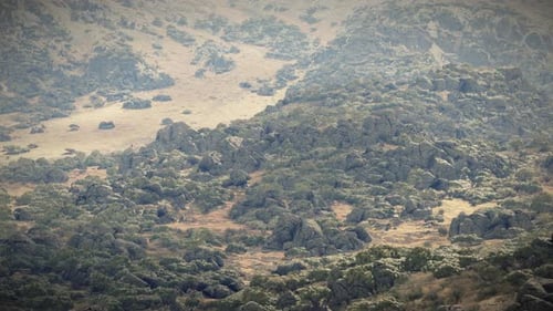 A Breathtaking Mountain Landscape with a Dense Forest Covering the Slopes