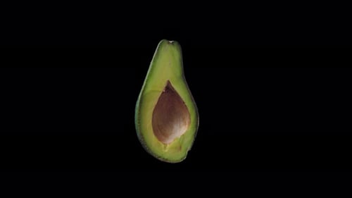 Floating Avocado Fruit Isolated on Air