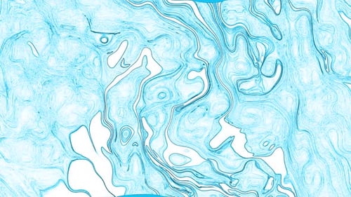 Abstract Fluid Blue Contour Lines Animated Background