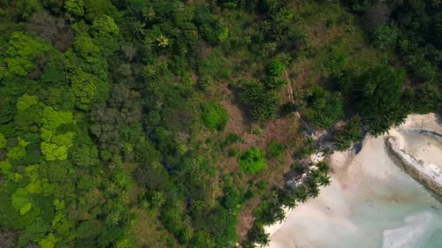 tropical beach turquoise wate, lush green vegetation. Fabulous aerial view flight drone