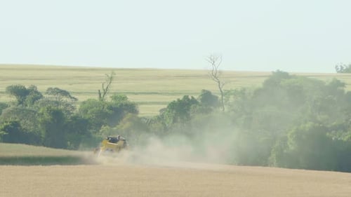 General shot of a seeder tractor harvesting soybeans in the field from a rear angle