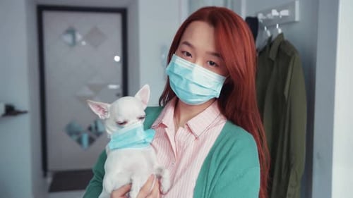 Young Redhaired Chinese Woman in Face Mask Hugging Her Puppy White Chihuahua Wearing Mask Too