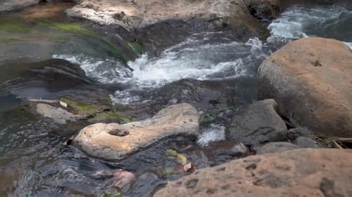 eau douce qui coule dans le ruisseau sur des pierres et de la mousse verte