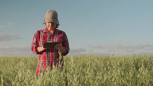 Woman farmer working on digital tablet on oat field.