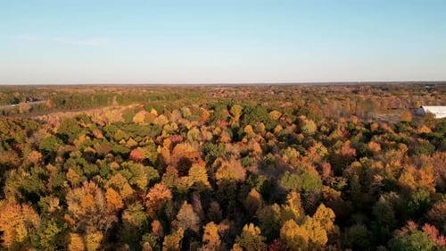 A stunning aerial view capturing the vibrant colors of a forest in autumn. The golden, orange, and r