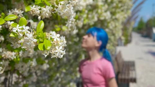 Allergy to Pollen