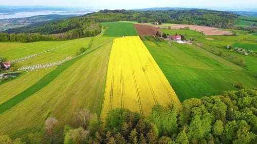 A Farm Stands on a Hill with Crop Fields White Bales of Hay and Pastures Surrounded By Forest