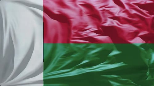 Realistic Waving Flag of Madagascar Seamless Loop