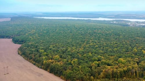 Aerial view of beautiful forest landscapes. Green aerial forest top view.