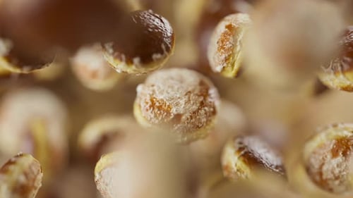 Animation of a group of donuts. Defocus. Close-up.