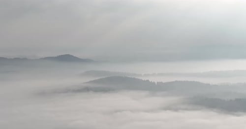 Aerial Drone Footage of Misty Fog Blowing Over Pine Tree Forest on a Beautiful Morning