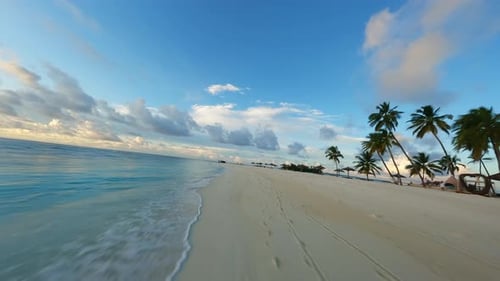 Fly a Drone Over a Beach in the Maldives Ocean and Palm Trees