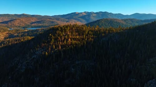 Beautiful mountains covered with pine trees. Drone rising above the rocky landscape opening