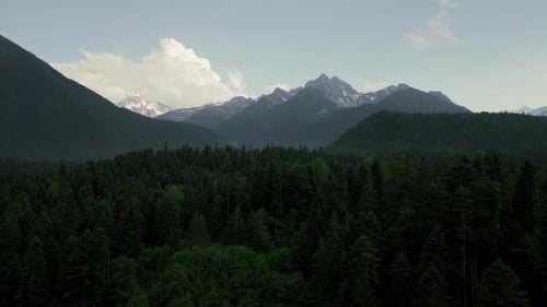 Drone View of Mountain Forest and Distant Peaks
