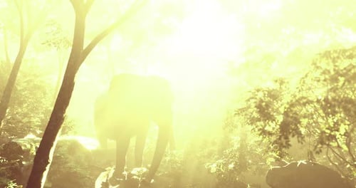 Majestic Elephant Walking Through Sunlit Forest at Dawn in the Wilderness