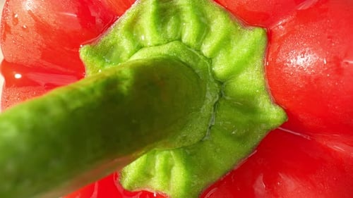 Close-up of Fresh Red Bell Pepper