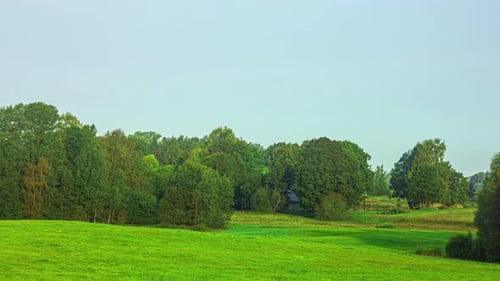 Été, automne, hiver : Lap de temps au fil des saisons dans une prairie brumeuse