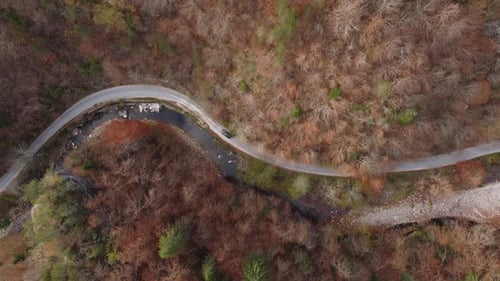 Aerial View of a Autumn Forest Through Which a Winding Road Passes in the Mountains