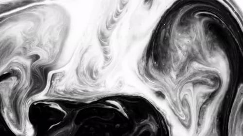 Background Video Abstract Alpha Matte Fill Black Color White Background