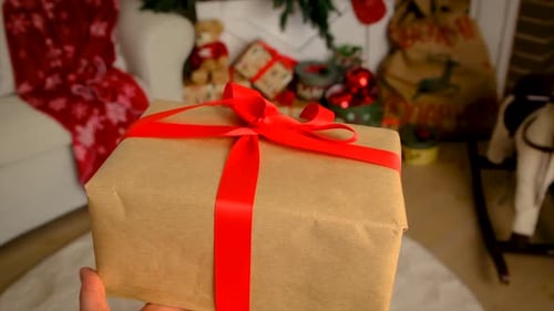 Christmas Gift Under Decorated Tree in Cozy Home