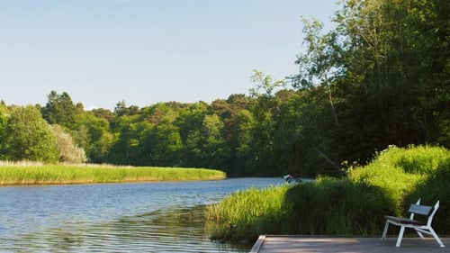 Nature, Landscape and Environment Concept - Bench on Wooden Pier at Lake