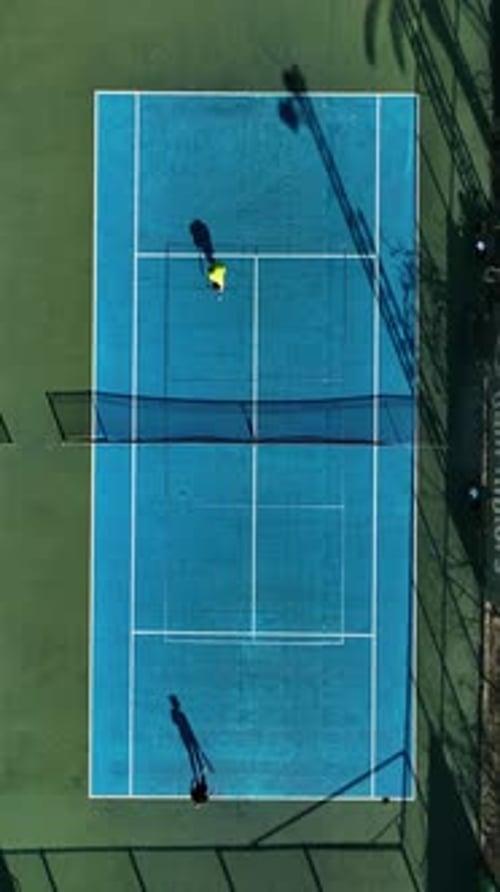 Vertical Video Sporting Escape Aerial View of PalmEncircled Tennis Court