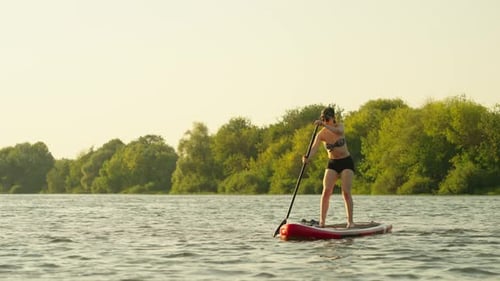Woman Practicing Stand Up Paddle Boarding In River In Summertime SUP Touring