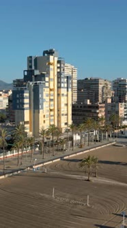 Aerial drone view of palm trees on a promenade near the beach and buildings along coastline of the c