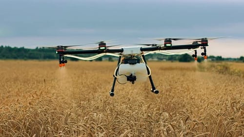 Drone Spraying A Wheat Field