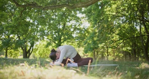 Young Beautiful Athletic Woman in Sportswear Doing Stretching and Warming Up in the Park Near a Tree