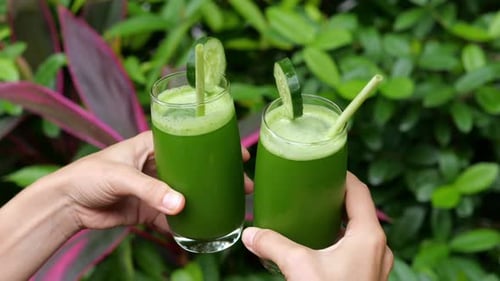 Two Healthy Drinks with a Green Smoothie Drink in Female Hands Against the Backdrop of Lush Tropical