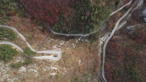 Aerial View of a Autumn Forest Through Which a Winding Road Passes in the Mountains