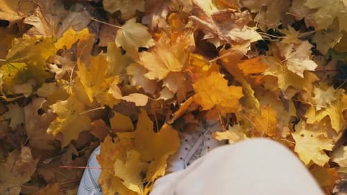 Point of View to Male Foot Stepping on Color Fallen Leaves