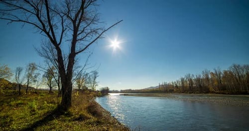 Mountain River Timelapse at the Summer or Autumn Day Time Wild Nature Clear Blue Water and Dry Trees