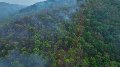 Luftaufnahme eines Waldbrandes, der im Tropenwald brennt,
