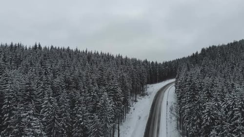 Winter Mountain Road Surrounded By Snowy Trees Aerial View